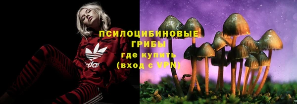 мяу мяу кристалл Магас
