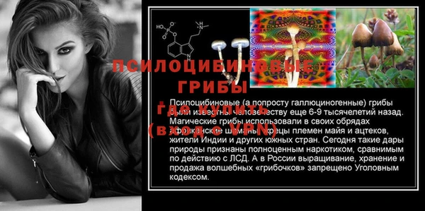 стафф Майский