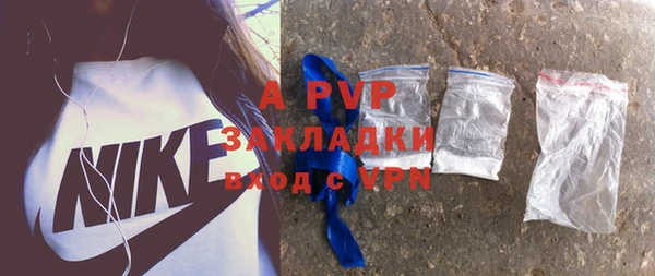 стафф Майский